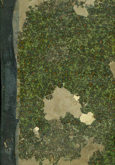 Ceskoslovensky zemedelec  Ustredni tydenik pro veskere zemedelstvi roc XI - Reich Ed  redaktor | antikvariat - detail knihy
