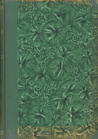 Radce z Premosti  Obrazkovy odborny casopis zahradkaru chovatelu drob hosp zvirectva zemedelcu a milovniku prirody  roc XXV - Knejzlik jos redaktor | antikvariat - detail knihy