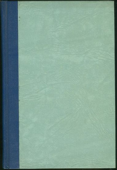 Pamatnik bratri Burianu - Burian E F | antikvariat - detail knihy