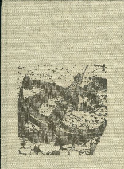 S palubou pod nohama  16 kapitol poutaveho vypraveni o morich lodich a namornicich - Stozicky Bedrich | antikvariat - detail knihy