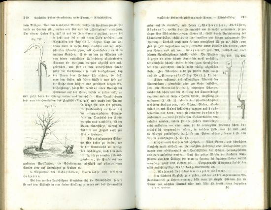 Encyclopadie der gesammten Forstwissenschaft  Vierter Band  Der Waldbau oder die Forstproductenzucht - Geyer Carl Dr | antikvariat - detail knihy