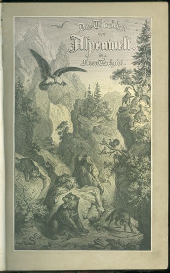 Das Thierleben der Alpenwelt  Naturansichten Thierzeichnungen aus Schweizerischen Gebirge - Tschudi Friedrich von | antikvariat - detail knihy