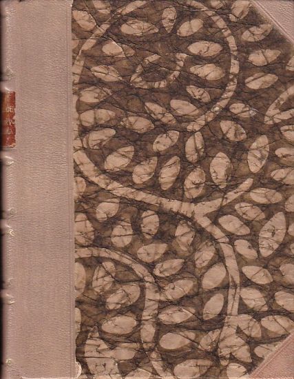 Pani Chrysanthema - Loti Pierre | antikvariat - detail knihy