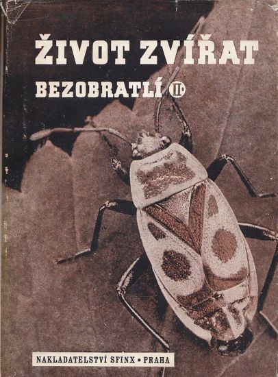 Bezobratli dil II  Ilustrovany zivot zvirat sv6 - Breindl V Jirovec O Komarek J | antikvariat - detail knihy