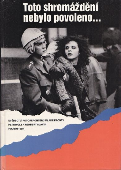 Toto shromazdeni nebylo povoleno - Molt Petr Slavik Herbert | antikvariat - detail knihy