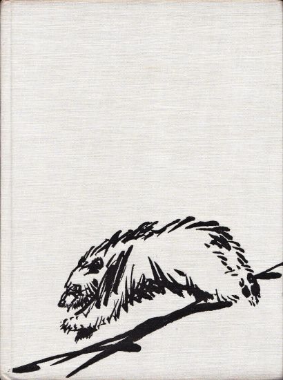 Medvedi Hurka a jine povidky o zviratkach - Sladkov Nikolaj | antikvariat - detail knihy