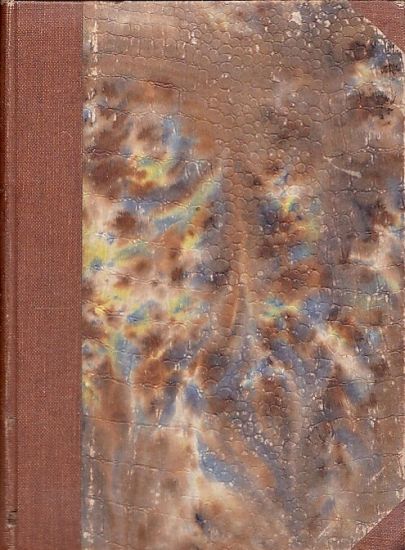 Kapitoly o zidovstvi a zidovstvu dil II - Lederer Edvard | antikvariat - detail knihy