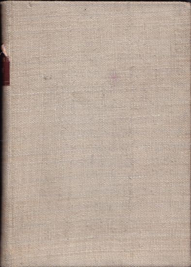 Slezske pisne - Bezruc Pavel | antikvariat - detail knihy