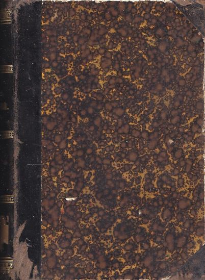 Hlavni proudy literatury stoleti devatenacteho  Romanticka skola ve Francii - Brandes Jiri | antikvariat - detail knihy