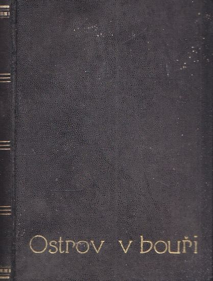 Ostrov v bouri - Medek Rudolf | antikvariat - detail knihy