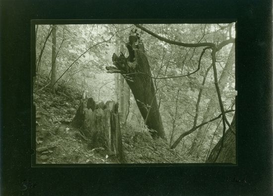 Petr Helbich  Proc fotografuji  Fotografie krajiny Petra Helbicha - Helbich Petr | antikvariat - detail knihy