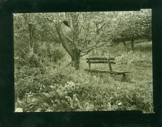 Lavicka  originalni fotografie - Helbich Petr | antikvariat - detail knihy