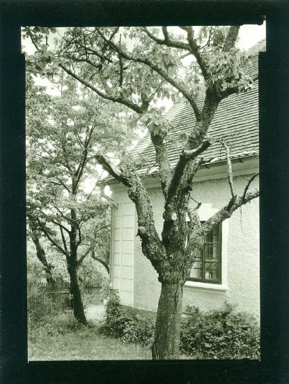 Salava  originalni fotografie - Helbich Petr | antikvariat - detail knihy