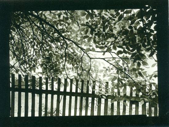 Venkovsky plot  originalni fotografie - Helbich Petr | antikvariat - detail knihy