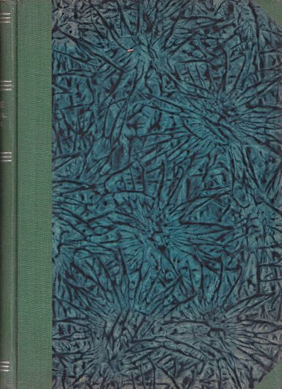 Radce  Cesky rolnik Rocnik XXVI - Knejzlik Josef redaktor | antikvariat - detail knihy