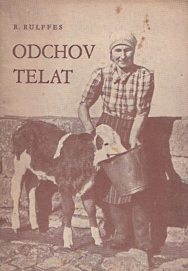 Odchov telat - Rulffes Rudolf | antikvariat - detail knihy