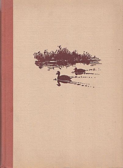 S kamerou za zveri na nasich vodach - Stanek Vaclav Jan | antikvariat - detail knihy