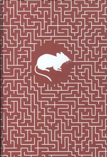 Ruze pro Algernon - Keyes Daniel | antikvariat - detail knihy
