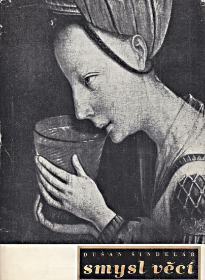 Smysl veci - Sindelar Dusan | antikvariat - detail knihy