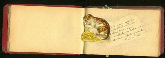 Album  pamatnik | antikvariat - detail knihy