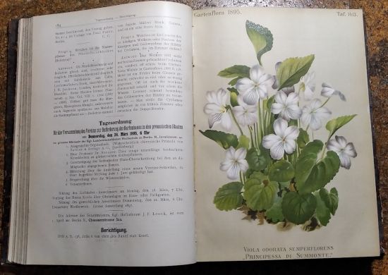 Gartenflora 1895 | antikvariat - detail knihy