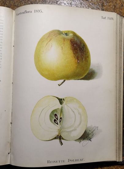 Gartenflora 1895 | antikvariat - detail knihy