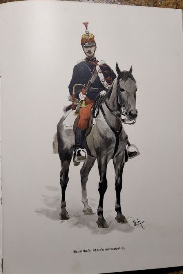 Unter den fahnen  Die Volker OsterreichUngarns in Waffen - Danzer Alfons | antikvariat - detail knihy