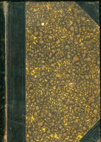 Napadnik z Ameriky - Twain Mark | antikvariat - detail knihy