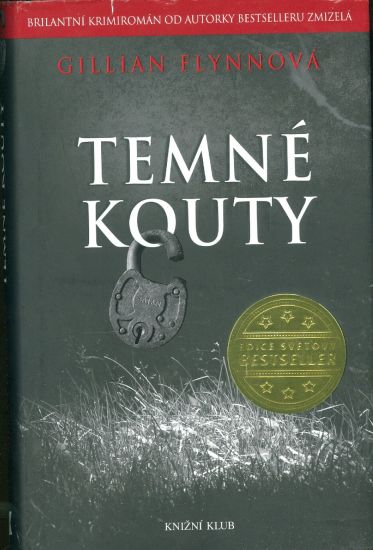 Temne kouty - Flynnova Gillian | antikvariat - detail knihy