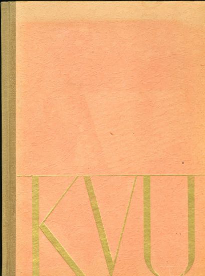 Goya - Guntherova  Mayerova Alzbeta | antikvariat - detail knihy