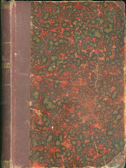 Dennik padleho devcete od mrtve - Bohmeova Marketa | antikvariat - detail knihy