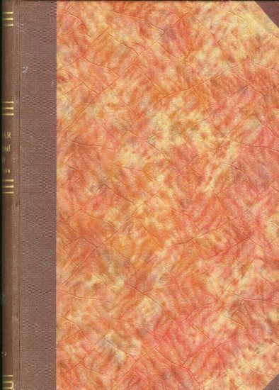 Jan Neruda  Kriticka studie - Karasek ze Lvovic Jiri | antikvariat - detail knihy