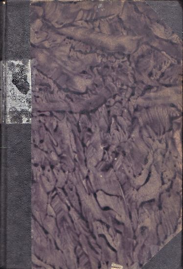 Ruska revoluce breznova ve vzpominkach ucastniku - Slavik Jan | antikvariat - detail knihy