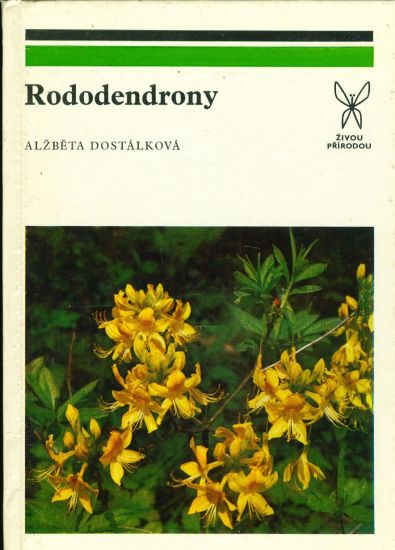 Rododendrony - Dostalkova Alzbeta | antikvariat - detail knihy