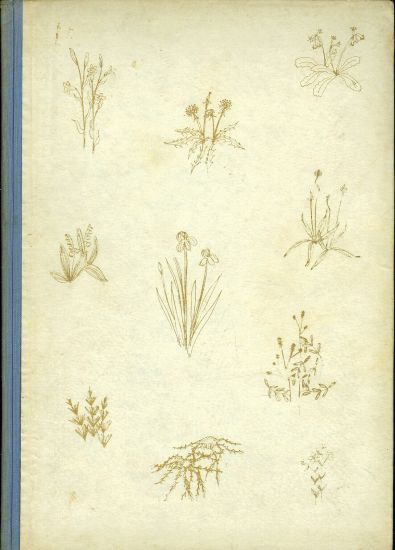 Zahrada Marianska - Zeyer Julius | antikvariat - detail knihy