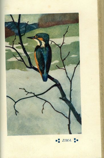 Rok  Obrazky z prirody - Janda Jiri | antikvariat - detail knihy