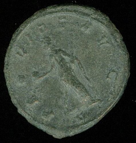 AE Antoninianus Rim  cisarstvi Tacitus - c168 | antikvariat - detail numismatiky