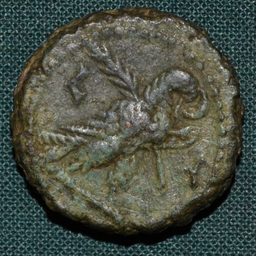 Carus Egypt Alexandria Biltetradrachma rok 1 - C913 | antikvariat - detail numismatiky