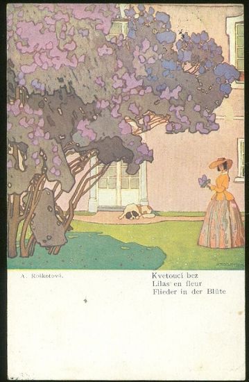 Kvetouci bez | antikvariat - detail pohlednice
