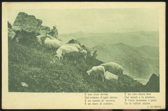 Alpy a ovce | antikvariat - detail pohlednice