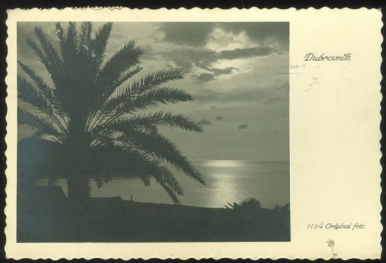 Dubrovnik | antikvariat - detail pohlednice