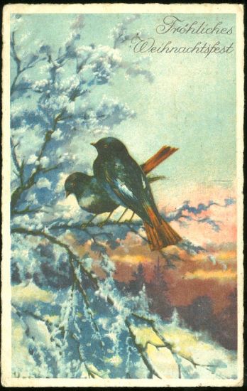 Frohliches Weihnachtfest | antikvariat - detail pohlednice
