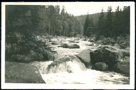 Sumava  Susicko | antikvariat - detail pohlednice