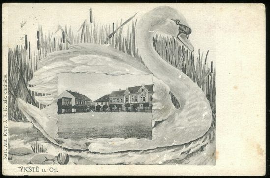 Tyniste n Orlici | antikvariat - detail pohlednice