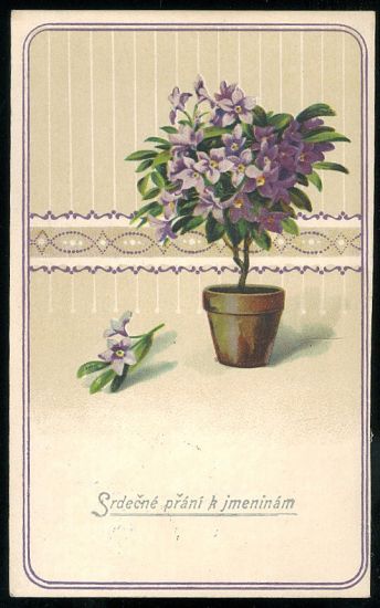 Srdecne prani k jmeninam | antikvariat - detail pohlednice