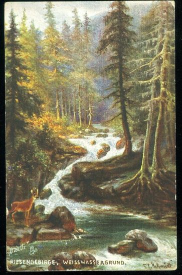 Riesengebirge Weisswasser grund | antikvariat - detail pohlednice