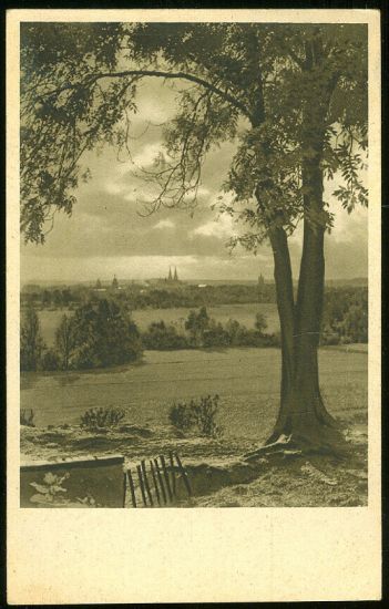 Vysoke Myto | antikvariat - detail pohlednice